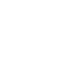 fi68