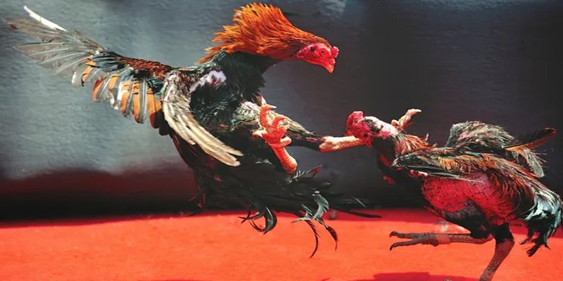 fi68 bắn cá h5 chơi ngay