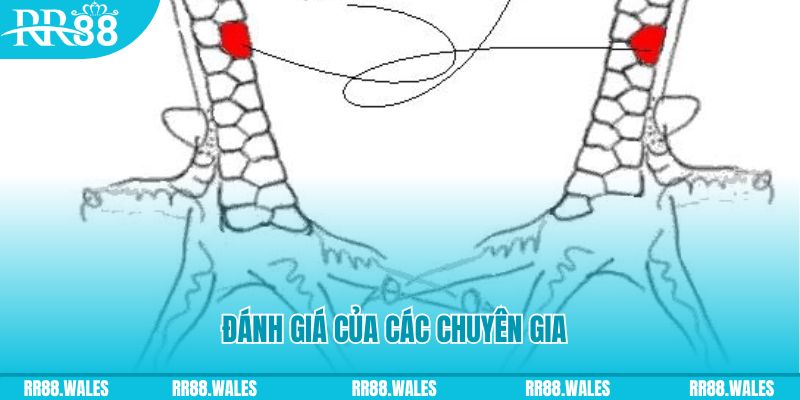 fi68 V8 Game Bài 3d