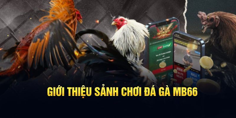 fi68 đăng nhập poker hôm nay