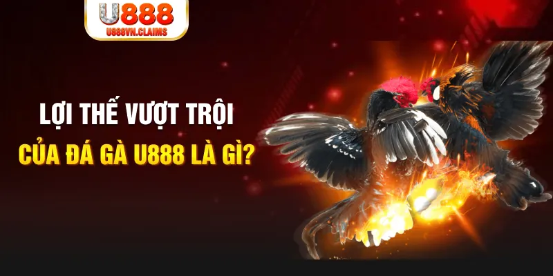 fi68 168G Điện Tử